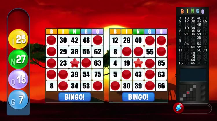 absolute bingo play fun games by absolute games