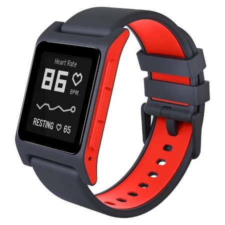 Pebble 2
