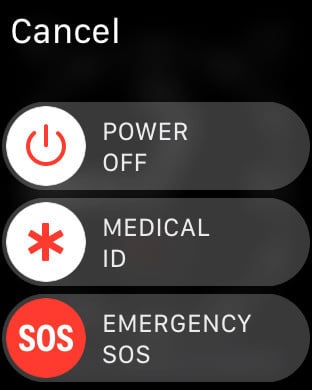 Press and hold the Apple Watch side button to bring up the feature. 
