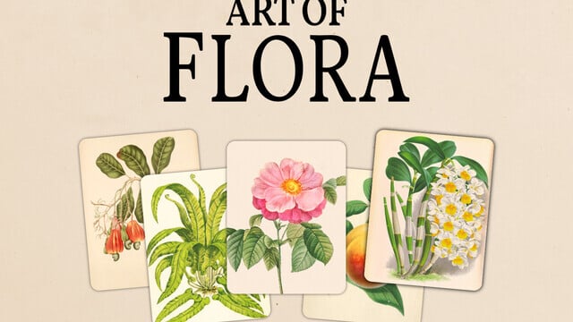 The Art of Flora Will Be Available to Download Early Next Year